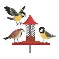 Winter Bird Feeder with Cute Titmouses and Sparrows, Northern Birds Feeding by Seeds in Wooden Feeder Vector