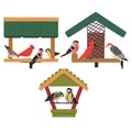 Winter Bird Feeder, Northern Birds Feeding by Seeds, Cute Red Cardinal, Chickadee, Woodpecker, Bullfinch Vector Royalty Free Stock Photo