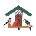 Winter Bird Feeder, Northern Birds Feeding by Seeds in Wooden Feeder, Cute Red Cardinal, Chickadee, Sparrow, Woodpecker