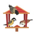 Winter Bird Feeder with Titmouses and Sparrows, Northern Birds Feeding by Seeds in Wooden Feeder Vector Illustration