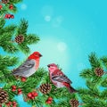 Winter bird, fir branch and rowan Royalty Free Stock Photo