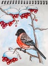 Winter bird on the tree