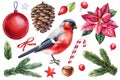 Winter bird watercolor isolated white background. Hand painted illustration. Bullfinch, pine cone and Christmas boll Royalty Free Stock Photo