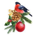 Winter bird watercolor isolated white background. Hand painted illustration. Bullfinch, pine cone and Christmas boll Royalty Free Stock Photo