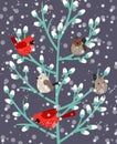 Winter birds branch. Beauty mistletoe red cardinal and sparrow birdes holly xmas wallpaper, snow wildlife forest vector Royalty Free Stock Photo