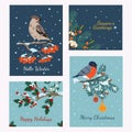 Winter birds cards. Christmas snowy banners with cute flying animals on branches. Whistler and bullfinch. Rowan and