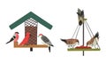Winter Birds Feeding by Seeds and Grains Poured on Birdfeeder or Bird Table Vector Set Royalty Free Stock Photo