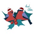 Winter birds with holly leaves and berries. The mistletoe symbol. Festive bullfinches. Isolated vector illustration. Illustration