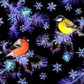 Winter birds, pine tree branches, snowflakes. Seamless pattern in neon light. Night watercolor