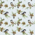 Winter Birds Retro Background