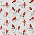 Winter Birds Retro Background