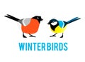 Winter birds are tit and bullfinch.