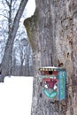 Winter birdseed on the painted nesting-box Royalty Free Stock Photo