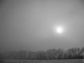 A winter black and white fog landscape is a beautiful combination of a frosty snowy landscape Royalty Free Stock Photo