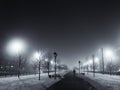 A winter black and white fog landscape is a beautiful combination of a frosty snowy landscape Royalty Free Stock Photo