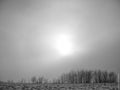 A winter black and white fog landscape is a beautiful combination of a frosty snowy landscape Royalty Free Stock Photo