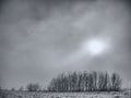 A winter black and white fog landscape is a beautiful combination of a frosty snowy landscape Royalty Free Stock Photo