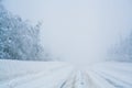 Winter blizzard in the driving north empty road landscape with white trees and snow with fog in the background. Road Royalty Free Stock Photo