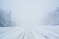 Winter blizzard in the driving north empty road landscape with white trees and snow with fog in the background. Road Royalty Free Stock Photo