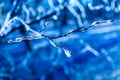 Winter blue frozen twig background Royalty Free Stock Photo