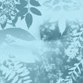 Winter Blue Leaves Royalty Free Stock Photo