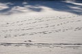 Footprints on snow Royalty Free Stock Photo