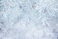 Winter Blur background with snowy pine tree branches Royalty Free Stock Photo