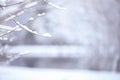 Winter blurred  background, with space for text. Tree branches covered with snow against the background of a blurry lake Royalty Free Stock Photo