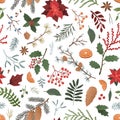 Winter botanical color vector seamless pattern. Zamioculcas, sorbus berries, juniper, mistletoe on white background