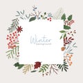 Winter botanical vector background. Xmas color backdrop with text space. Mistletoe, juniper, pine cones and coniferous