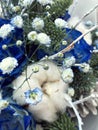 Winter bouquet of white and blue flowers. Flowers bouquet including Blue roses covered with snow, cones, fir branches, cotton ball