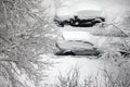 Winter branchs and car covered with snow Royalty Free Stock Photo