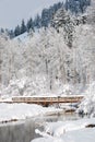 Winter bridge Royalty Free Stock Photo