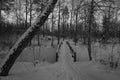 Winter bridge Sweden