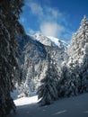 Winter in bucegi mountains