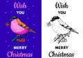 Winter bullfinch bird. Merry Christmas banner. New Year label. Poster template. Vintage sticker Flyer or labels