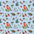 Winter bullfinch bird seamless pattern. Watercolor illustration. Hand drawn bullfinch bird, fir tree branch, cone, red