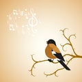 Winter bullfinch bird tweets on a tree branch