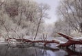 Winter calm river