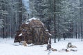 Winter camping in a snowy forest. Winter landscape with a tent Royalty Free Stock Photo