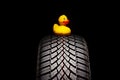 Winter car tire for snow and yellow rubber duck toy isolated on white background Royalty Free Stock Photo