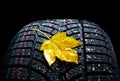 Winter car tires wheel profile with autumn leaves on black background
