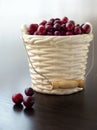 Winter card - Cranberries in bucked shaped vase