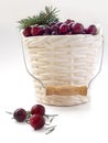 Winter card - Cranberries in bucked shaped vase with Christmas tree twig