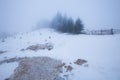 Winter Carpathian mountains