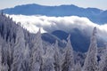 Winter in Carpathians Royalty Free Stock Photo