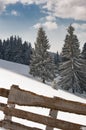 Winter carpati snow tree fence wood Royalty Free Stock Photo