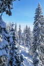 Winter in Carpatian Mountains.