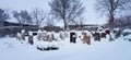 Winter Cemetery