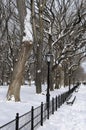 Winter in Central Park Royalty Free Stock Photo